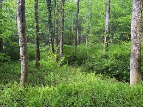 tbd Wildcat Rd, Deep Gap, NC 28618 photo 11