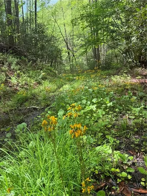 tbd Wildcat Rd, Deep Gap, NC 28618 photo 16