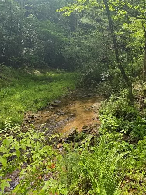 tbd Wildcat Rd, Deep Gap, NC 28618 photo 9