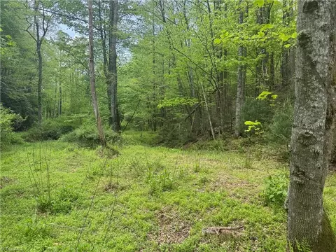 tbd Wildcat Rd, Deep Gap, NC 28618 photo 24