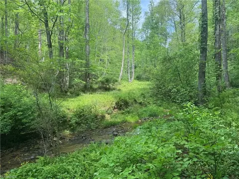 tbd Wildcat Rd, Deep Gap, NC 28618 photo 22