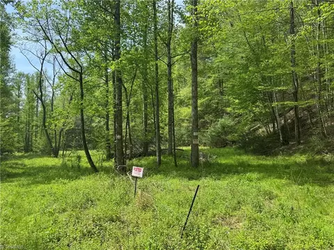 tbd Wildcat Rd, Deep Gap, NC 28618 photo 4