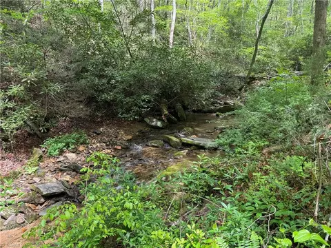 tbd Wildcat Rd, Deep Gap, NC 28618 photo 19