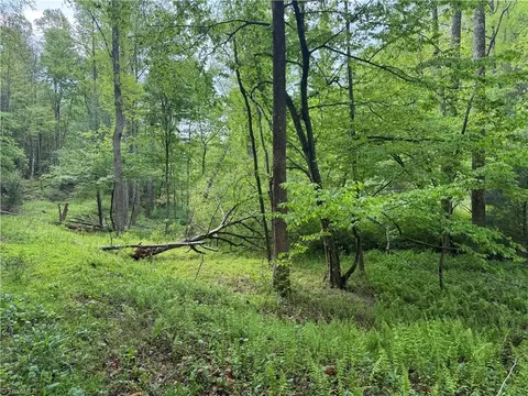 tbd Wildcat Rd, Deep Gap, NC 28618 photo 12