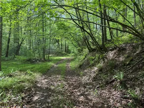 tbd Wildcat Rd, Deep Gap, NC 28618 photo 3