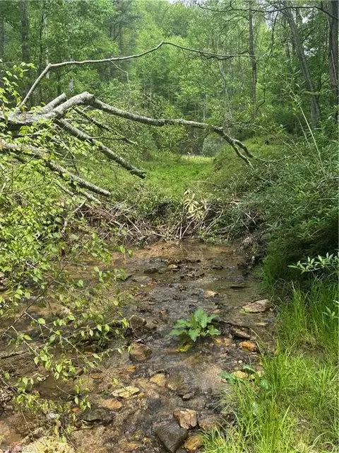 tbd Wildcat Rd, Deep Gap, NC 28618 photo 23