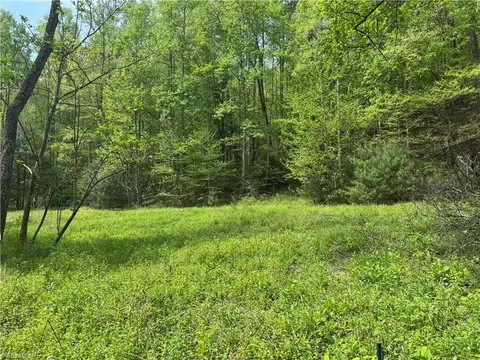 tbd Wildcat Rd, Deep Gap, NC 28618 photo 5