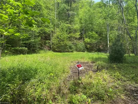 tbd Wildcat Rd, Deep Gap, NC 28618 photo 6