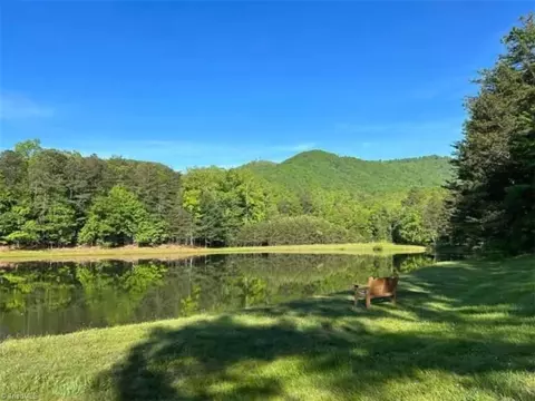 View/Area - 290 Jonathan Dr, Lowgap, NC 27024 photo 1 of 1