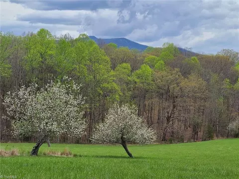 Other - 290 Jonathan Dr, Lowgap, NC 27024 photo 9 of 16