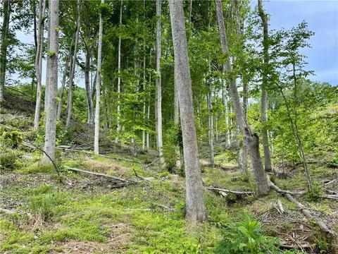 lot8 Skeens Mill Rd, Trinity, NC 27370 photo 2