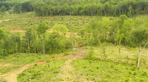lot8 Skeens Mill Rd, Trinity, NC 27370 photo 10