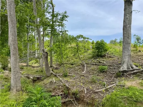 lot8 Skeens Mill Rd, Trinity, NC 27370 photo 5