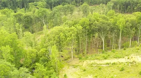 lot8 Skeens Mill Rd, Trinity, NC 27370 photo 9
