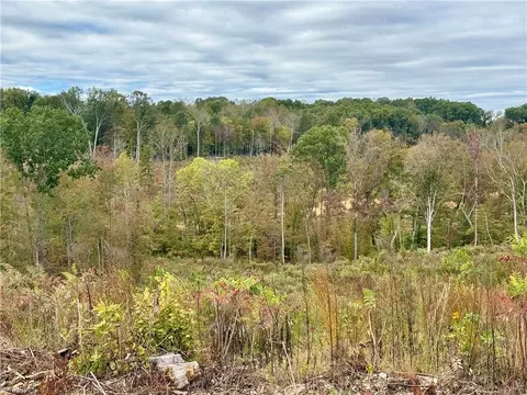 lot10 Skeens Mill Rd, Trinity, NC 27370 photo 9