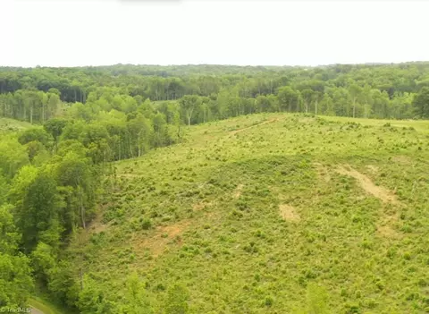 lot10 Skeens Mill Rd, Trinity, NC 27370 photo 2