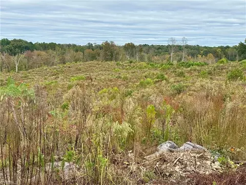 lot10 Skeens Mill Rd, Trinity, NC 27370 photo 8