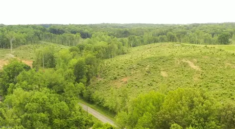 lot10 Skeens Mill Rd, Trinity, NC 27370 photo 5