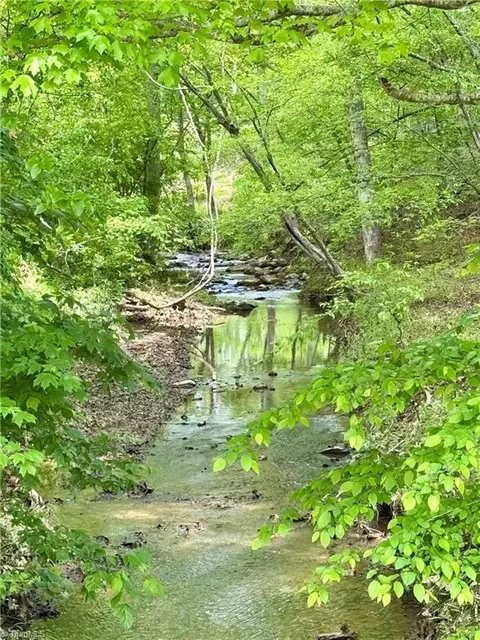 lot10 Skeens Mill Rd, Trinity, NC 27370 photo 3