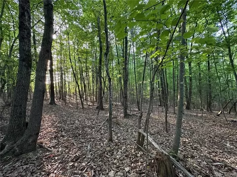 00 Wiley Royal Rd, Traphill, NC 28685 photo 3