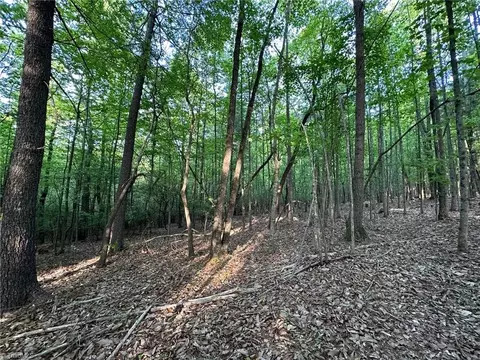 00 Wiley Royal Rd, Traphill, NC 28685 photo 2