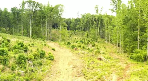 lot9 Skeens Mill Rd, Trinity, NC 27370 photo 9