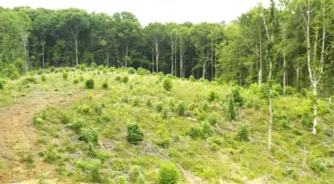 lot9 Skeens Mill Rd, Trinity, NC 27370 photo 3