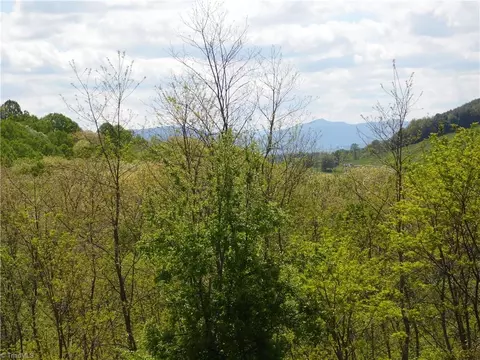 tbd Ginkgo Dr, Laurel Springs, NC 28644