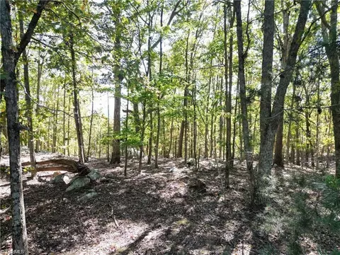232 Sierra Trace Rd, Denton, NC 27239 photo 8