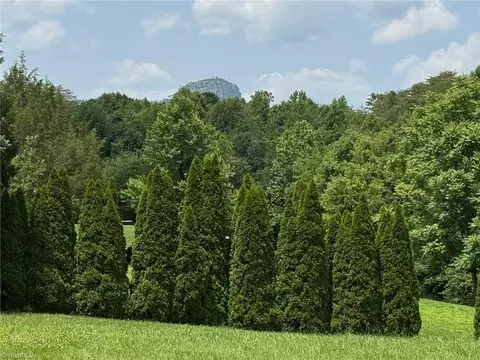 124 Great Pilot Ln, Pinnacle, NC 27043 photo 17