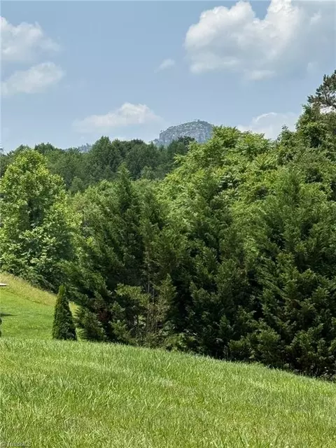 124 Great Pilot Ln, Pinnacle, NC 27043 photo 29