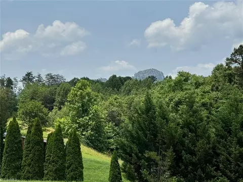 124 Great Pilot Ln, Pinnacle, NC 27043 photo 22