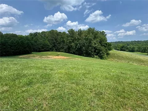 124 Great Pilot Ln, Pinnacle, NC 27043 photo 5