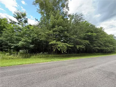 0 Apple Blossom Ln, Westfield, NC 27053