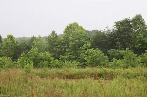00 Joyce Woodworks Rd, Sandy Ridge, NC 27046