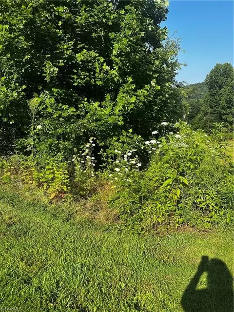 tbd High Acres Dr W, Purlear, NC 28665 photo 2