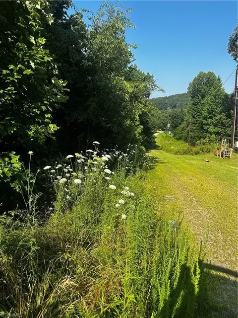 tbd High Acres Dr W, Purlear, NC 28665 photo 4