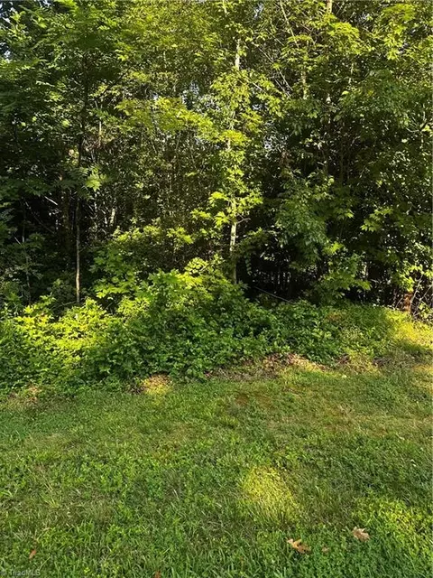 tbd High Acres Dr W, Purlear, NC 28665 photo 3