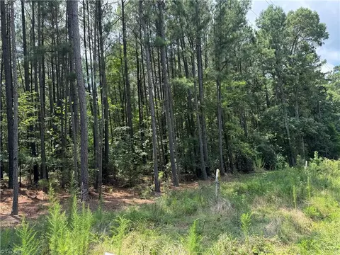 00 Epps Clark Rd, Siler City, NC 27344