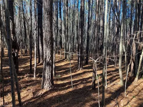 00 N Nc Highway 134, Star, NC 27356