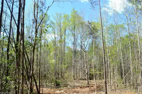 01 Dibrell Rd, Pelham, NC 27311 photo 8