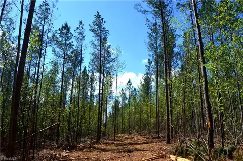 01 Dibrell Rd, Pelham, NC 27311 photo 6