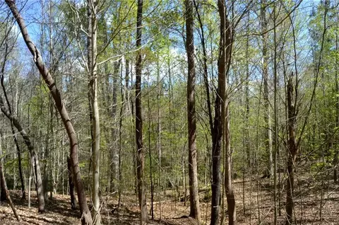 01 Dibrell Rd, Pelham, NC 27311 photo 13