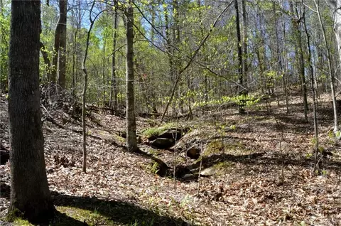 01 Dibrell Rd, Pelham, NC 27311 photo 15