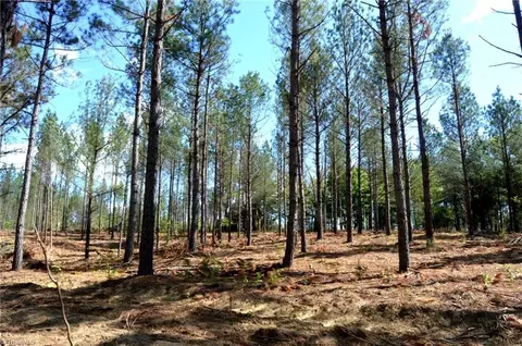 01 Dibrell Rd, Pelham, NC 27311 photo 2