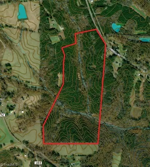 01 Dibrell Rd, Pelham, NC 27311 photo 39