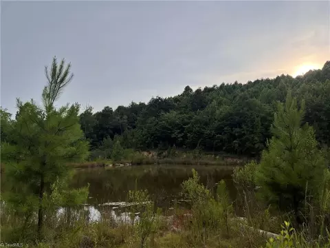 0 Cedar Forest Rd, Franklinville, NC 27248