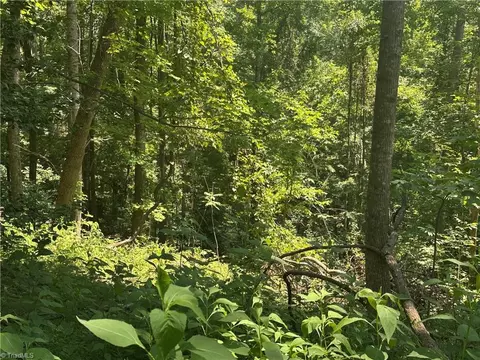0000 Sheriffs Rd, Lenoir, NC 28645 photo 8