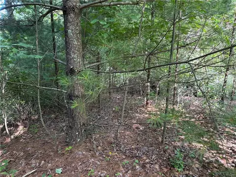 lot191 192 Casey Mountain Rd, Purlear, NC 28665 photo 9
