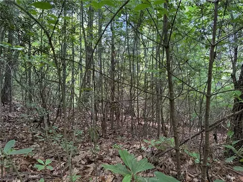 lot191 192 Casey Mountain Rd, Purlear, NC 28665 photo 14
